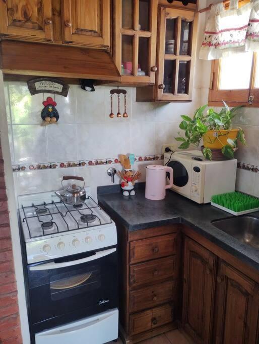 Alquiler En Apartamento São Rafael